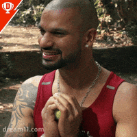 Entertainment Match GIF by Dream11