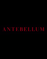 Janelle Monae Antebellum GIF by Nordisk Film - Vi elsker film
