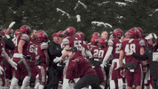 Lets Go Football GIF by Colgate Athletics