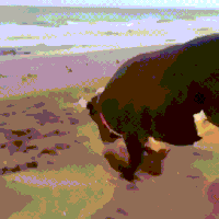 time beach GIF