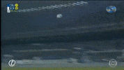 Libertadores Cruzeiro GIF