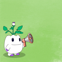 I Want Yes GIF by Magic Eden