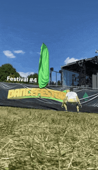 Music Festival GIF