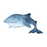 yzawuthrich animals baby animal ocean Sticker
