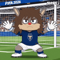France Football GIF
