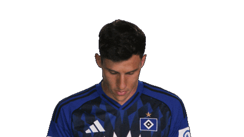 Look Up Hamburger Sv Sticker by Bundesliga