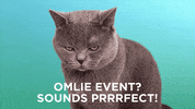Omlie Event GIF by Omlie Consulting