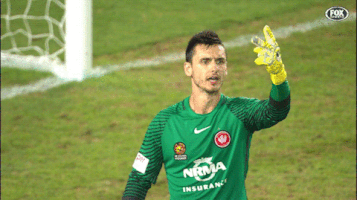 wswanderersfc football celebration goal wanderers GIF