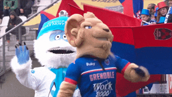 grenoble GIF by FCG Rugby