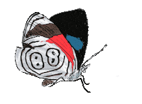 CokCoq butterfly 88 mariposa gifology Sticker