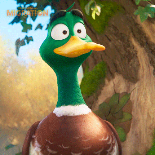 MigrationMovie shocked duck marriage proposal GIF