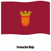Bandera GIF by Formación Ninja