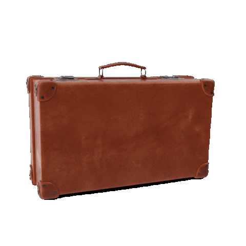 Harry Potter Travel Sticker by Harry Potter And The Cursed Child