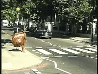 test patience GIF