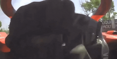 d_77 giphygifmaker GIF