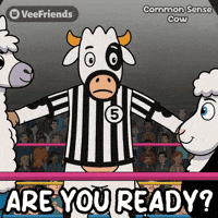 Common Sense Fighting GIF by VeeFriends