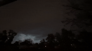Vivid Lightning Illuminates Dark Sky in Northern Colorado