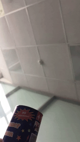 vladyko giphyupload GIF