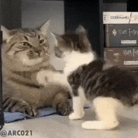 Mother Slap GIF