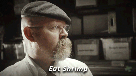 years mythbusters GIF