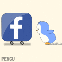 Social Media Penguin GIF by Pudgy Penguins