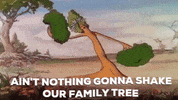 cayleehammack love family friendship bff GIF