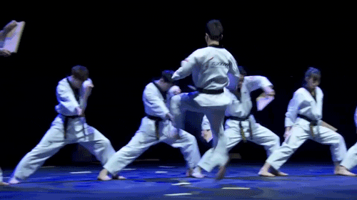 taekwondo conan korea GIF by Team Coco