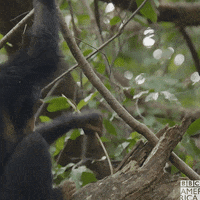 Angry Life Story GIF by BBC America