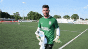 Usl League One Hello GIF by Greenville Triumph SC