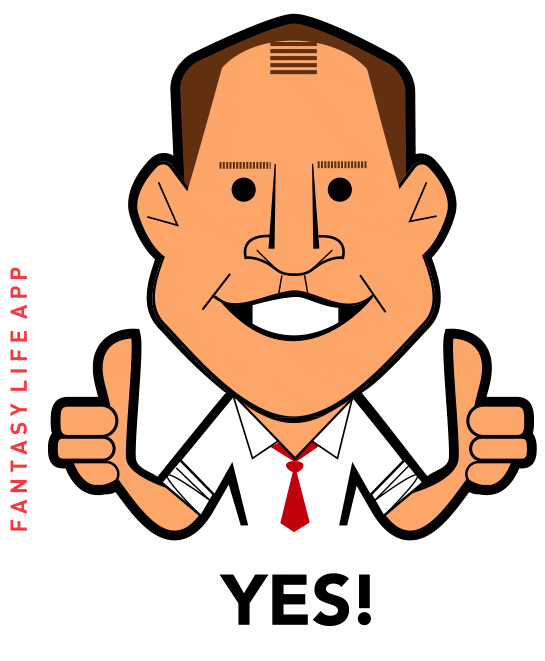 FantasyLifeApp football yes thumbs up approved Sticker