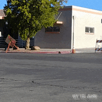 classic car chevy GIF by Off The Jacks