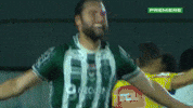 Serie A Bora GIF by Canal Premiere