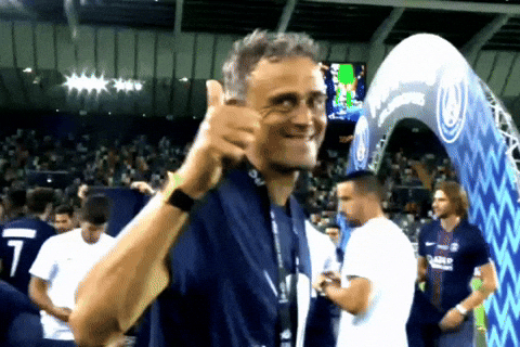 Paris Saint-Germain Psg GIF