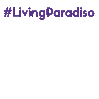 Livingparadiso Sticker by concepthotelgroup