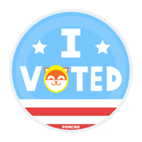 voting election day 2016 GIF by Poncho