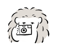 Camera Selfie Sticker