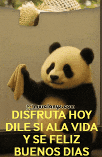 Panda Disfruta GIF by Murcianys LLC