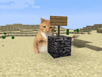 Orange Cat Minecraft Memes GIF