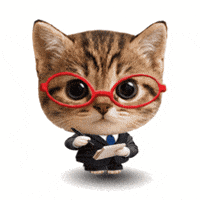 Cat Checking GIF