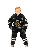 alfahockey хоккей хоккеист альфа хоккейспб Sticker