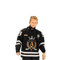 alfahockey хоккей хоккеист альфа хоккейспб Sticker