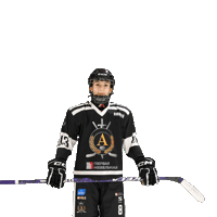 alfahockey хоккей хоккеист альфа хоккейспб Sticker