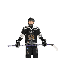 alfahockey хоккей хоккеист альфа хоккейспб Sticker