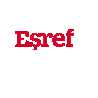 Logo Dizi Sticker by WASS Medya