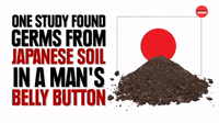 Japanese soil germs