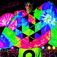 Salad Partner GIF by Sogni AI