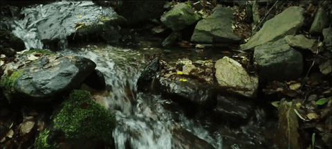 iberdrolavsplastic giphyupload water river agua GIF