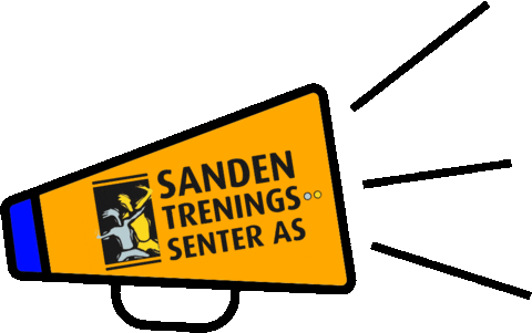 Sandengrafikk Sticker by Sanden Treningssenter