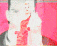 Diva Fur Coat GIF