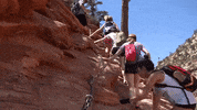 utah GIF